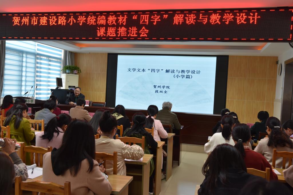 段双全教授在现场做报告