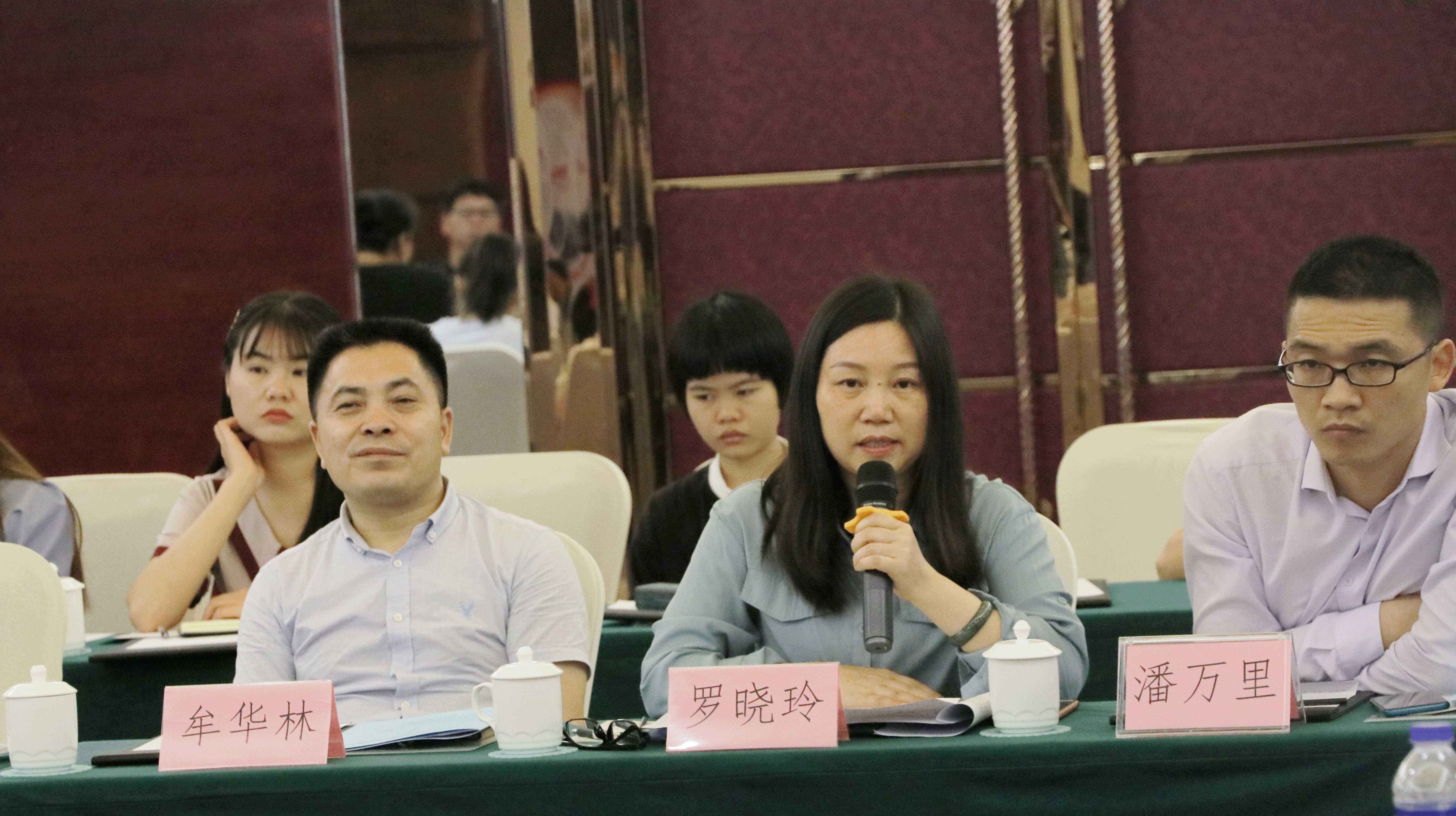 罗晓玲发言