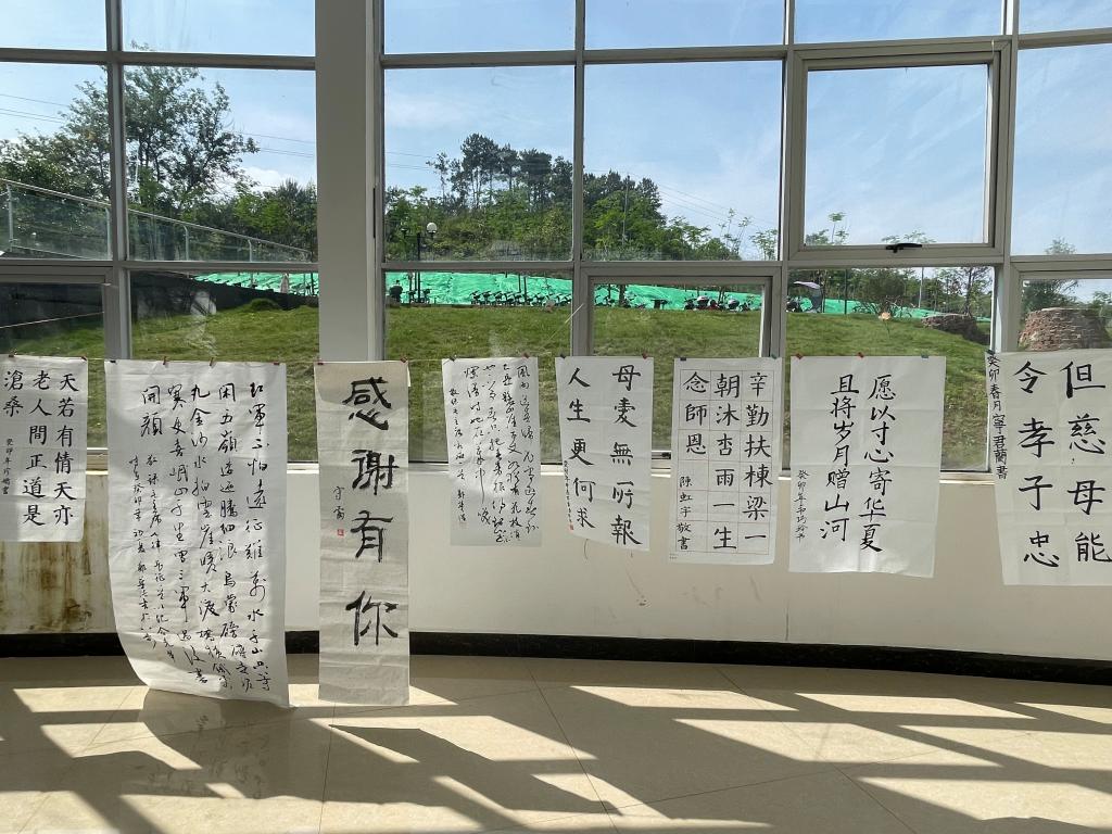 图为软笔书法作品展示